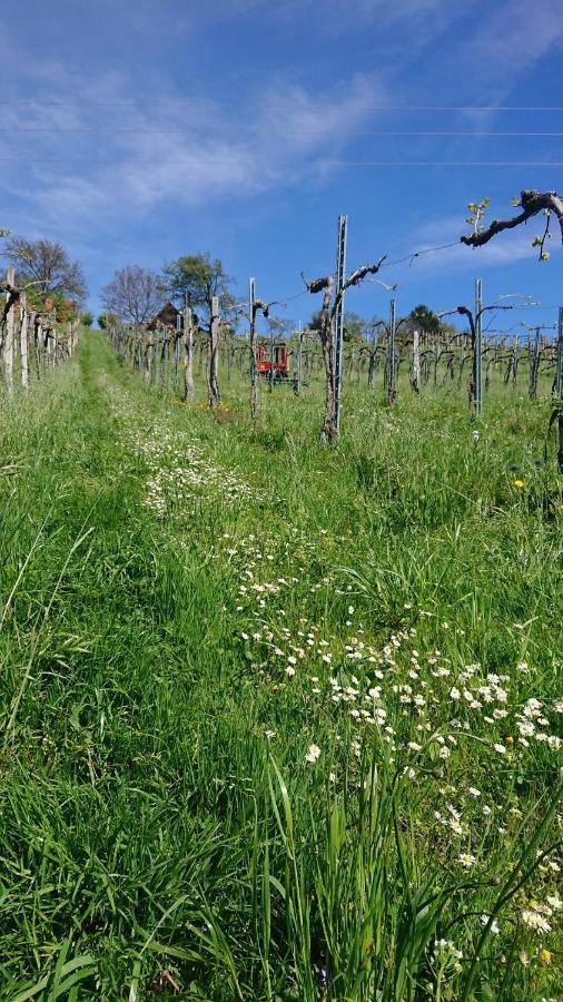Gaestehaus Der Gamser Winzerstube Bad Gams Bagian luar foto