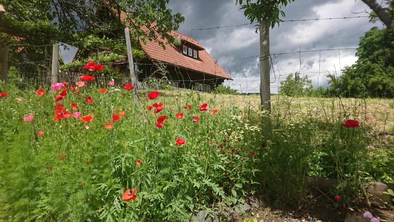 Gaestehaus Der Gamser Winzerstube Bad Gams Bagian luar foto